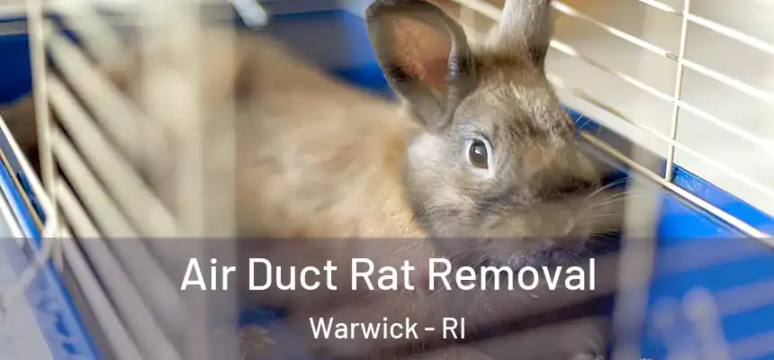  Air Duct Rat Removal Warwick - RI
