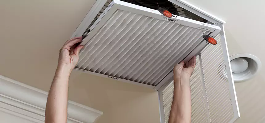 Preventive Cockroach-Proofing for Ducts in Warwick