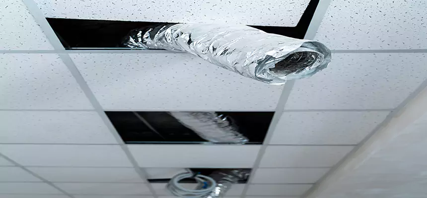 Our Air Duct Pet Hair Removal Services in Warwick, RI