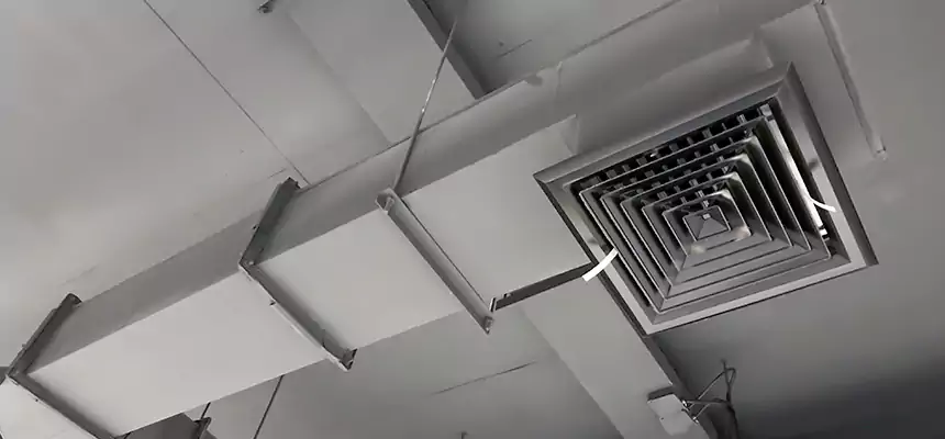 Our Rodent Droppings In Vents Services in Warwick, RI