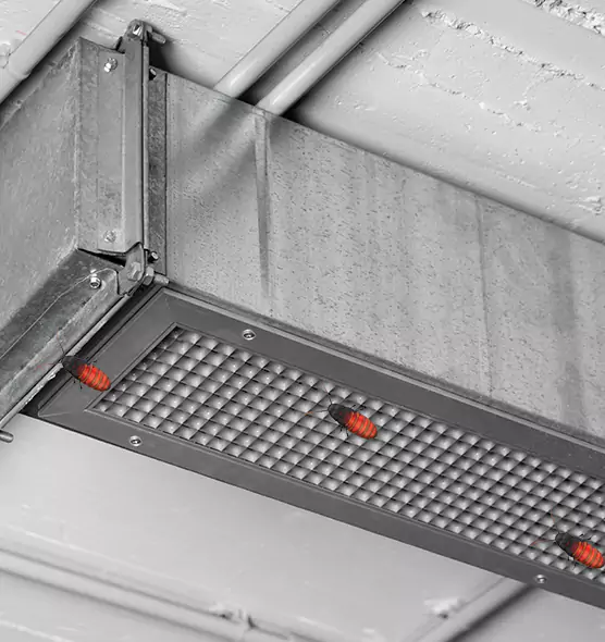 About Air Duct Cockroach Removal in Warwick, RI