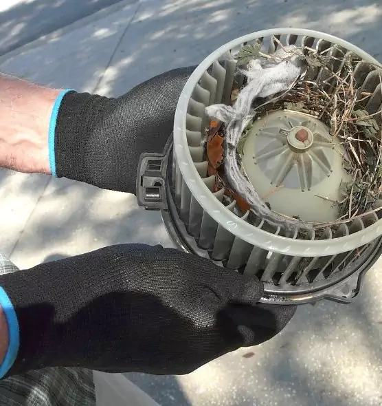 About Air Duct Mice Removal in Warwick, RI